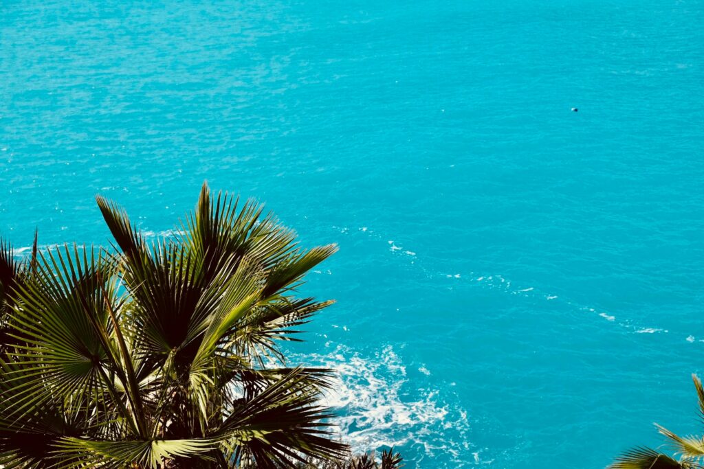 Lush palm trees framing the vibrant turquoise sea on Nice's sunlit coast, ideal for a summer escape.