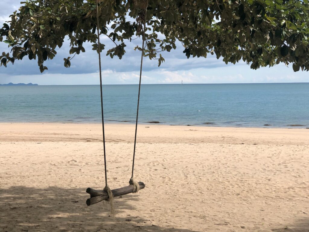 Tranquil sandy beach with a wooden swing and ocean view under tree shade.